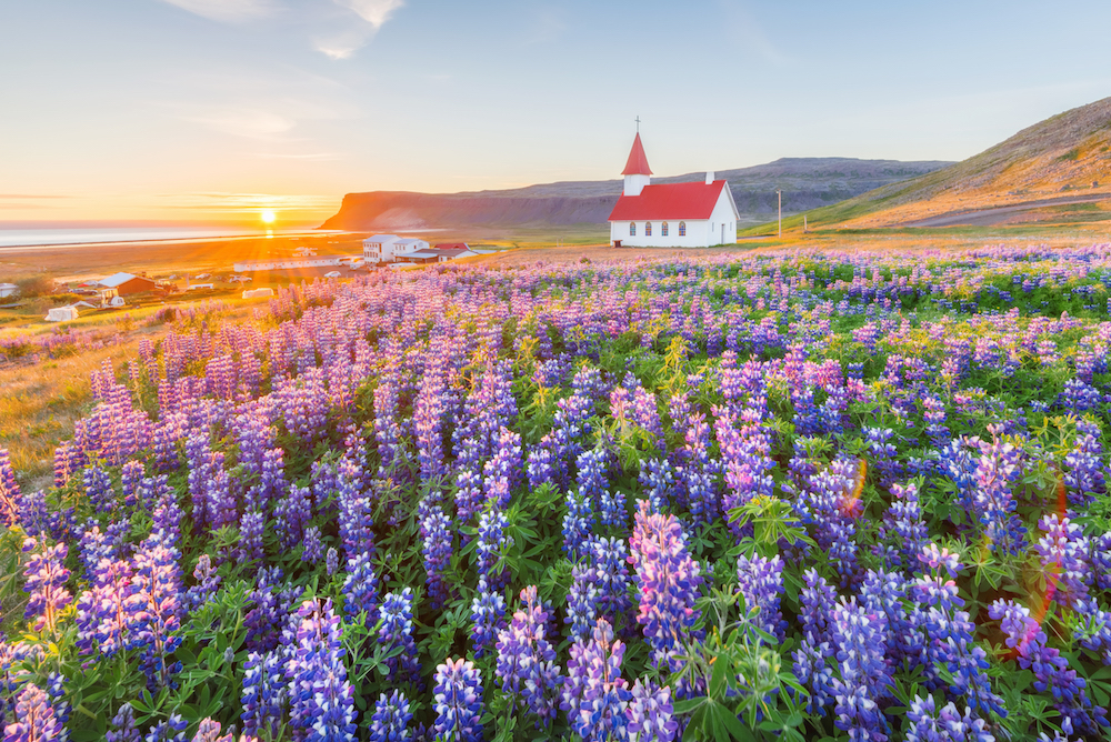 Iceland. Source: Getty