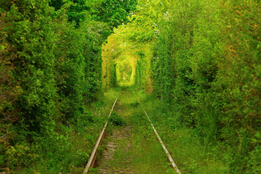 Tunnel of Love, Ukraine. Source: Getty