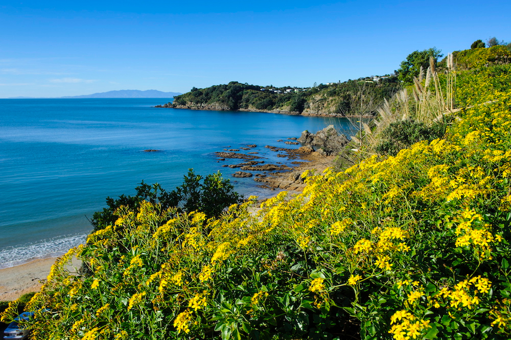 New Zealand's Waiheke Island, just off the coast of Auckland. Source: Getty