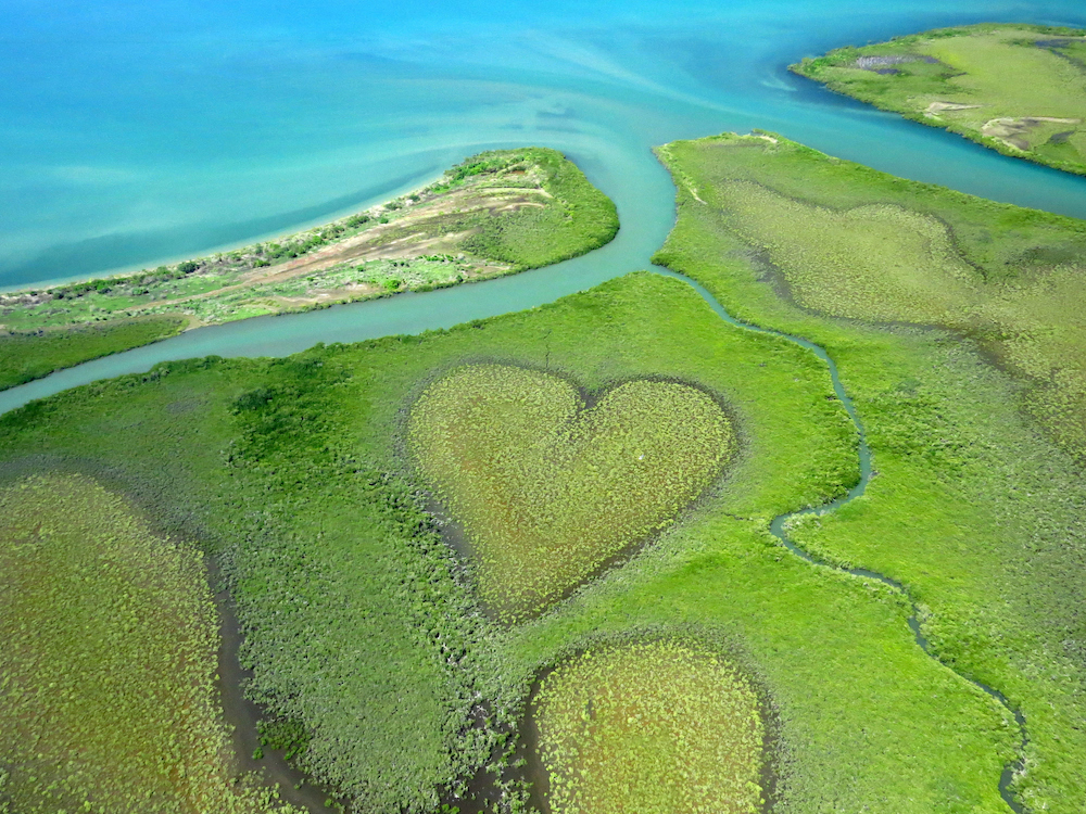 The amazing – and completely natural – 'Coeur de Voh' (Heart of Voh). Source: Getty