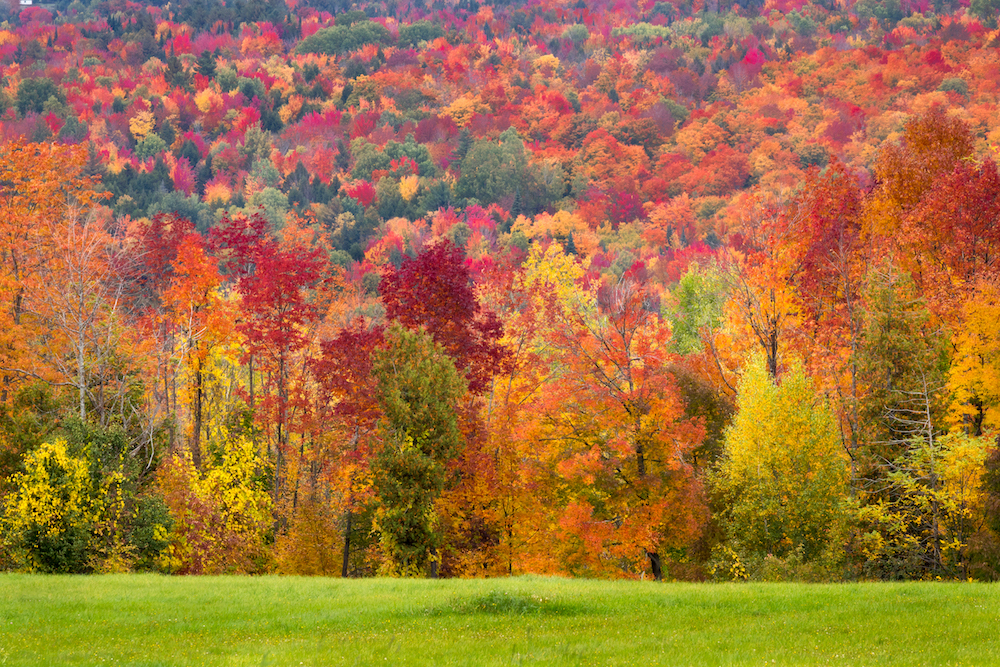 Seasons after Fall. Картинки США листва Woodstock, Vermont осень. We Call it autumn. Fall. Fall once