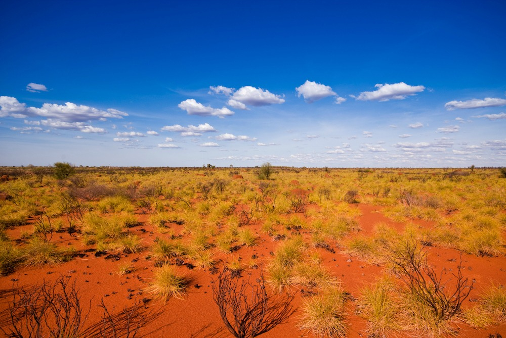 Spinifex and red dirt as far as the eye can see. Source: Getty