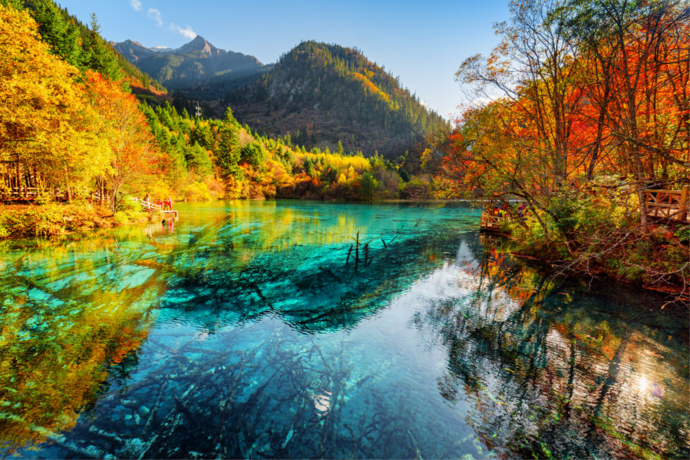 Autumn at the Five Flower Lake in Jiuzhai Valley National Park, China. Source: Getty