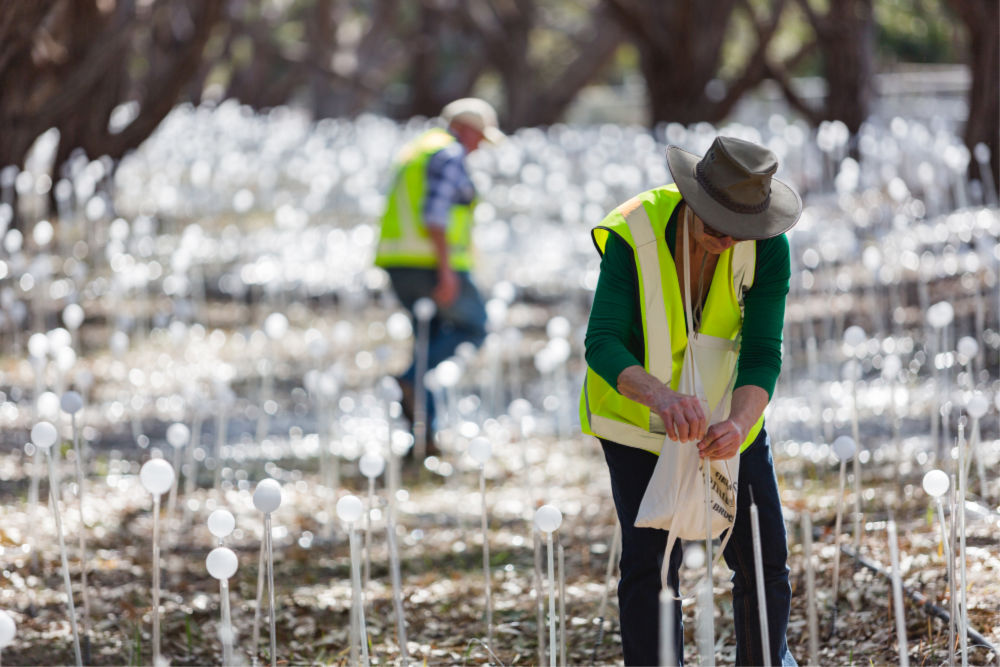 Volunteers at work in the Field of Light Avenue of Honour installation, Bruce Munro, Albany, 2018. Source: Taryn Hays, courtesy of FORM