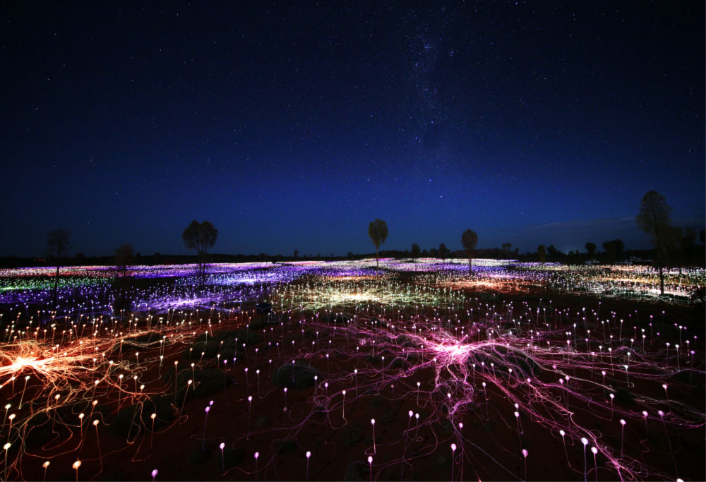 Field of Light Uluru. Source: Bruce Munro Studio