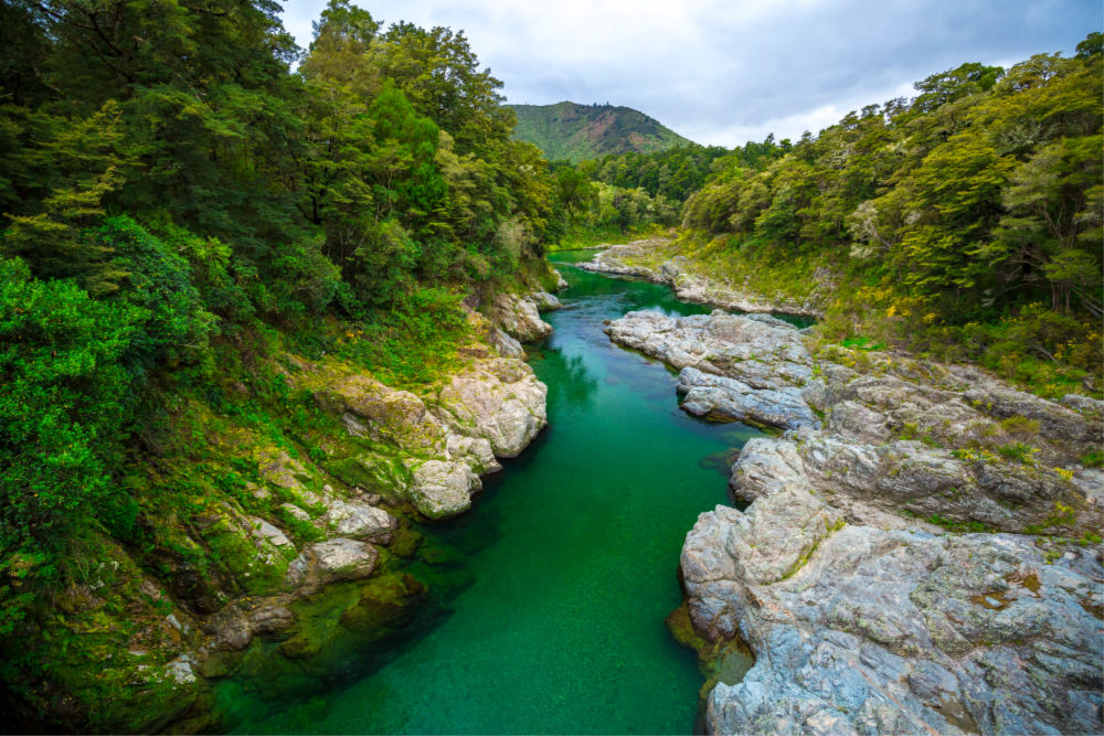 The magnificent Pelorus River. Source: Getty