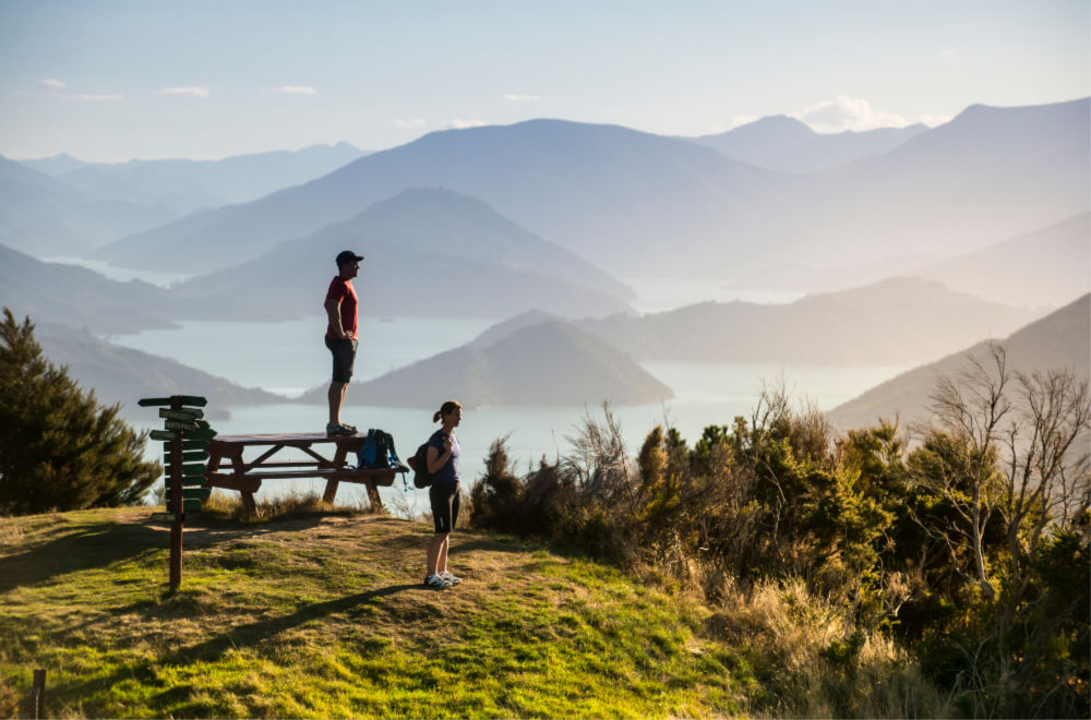 Walkers on the Queen Charlotte Track. Source: MarlboroughNZ.com