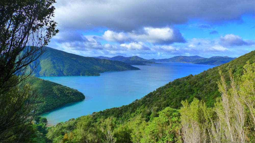 Marlborough Sounds as seen from Queen Charlotte Track. Source: Getty