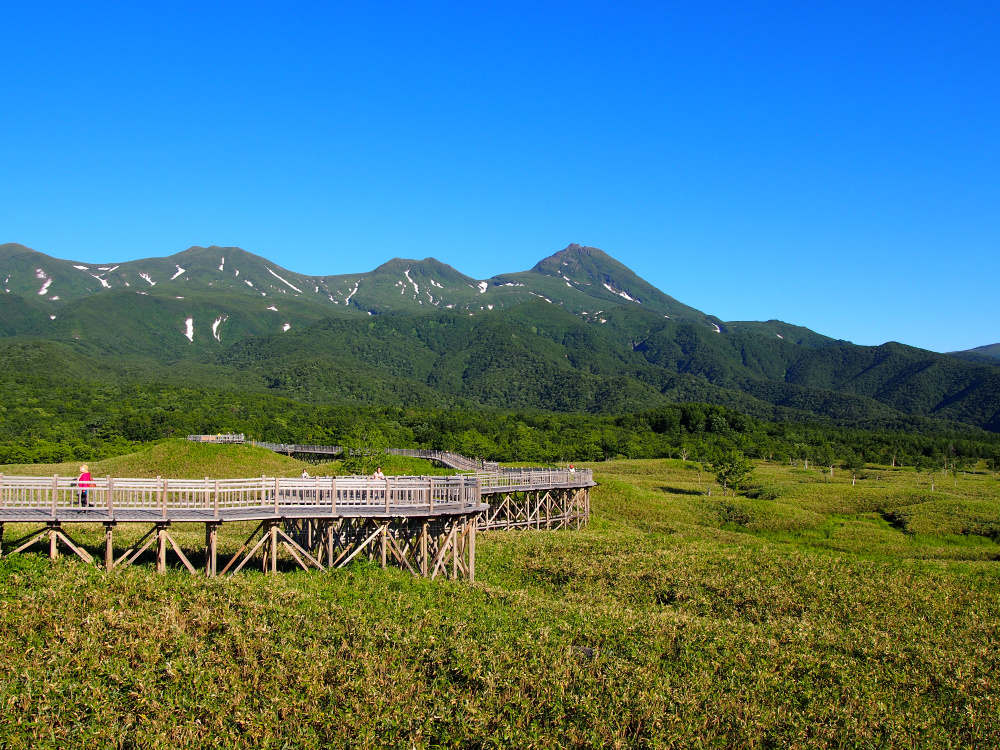 The elevated wooden boardwalk gives easy, xxxx viewing. Source: Getty