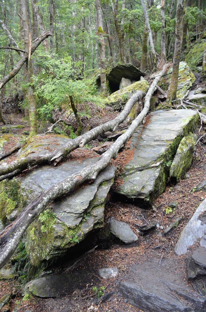 The rubble of nature. Source: Ian Smith