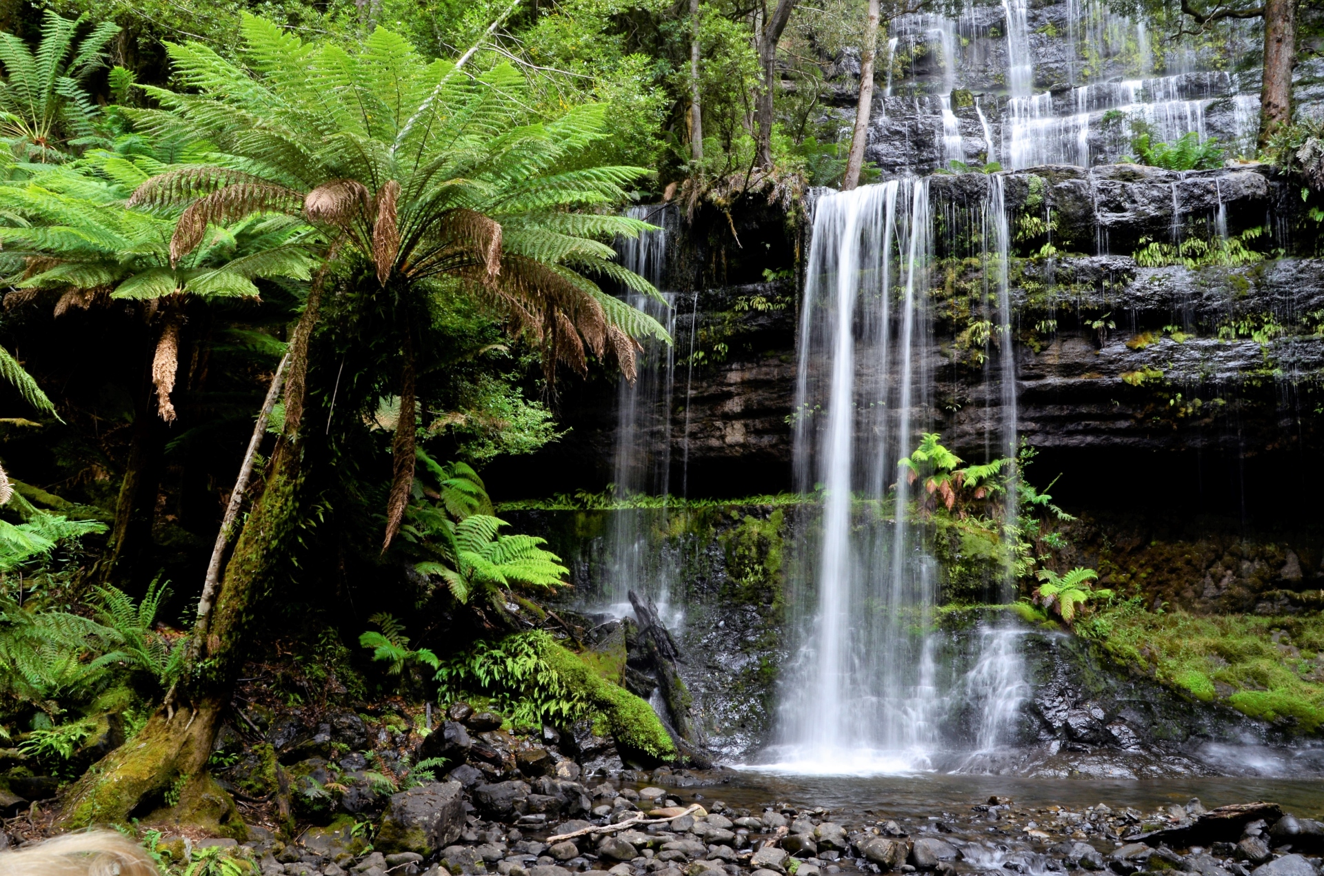 Discover Tasmania’s stunning Mount Field National Park - Starts at 60