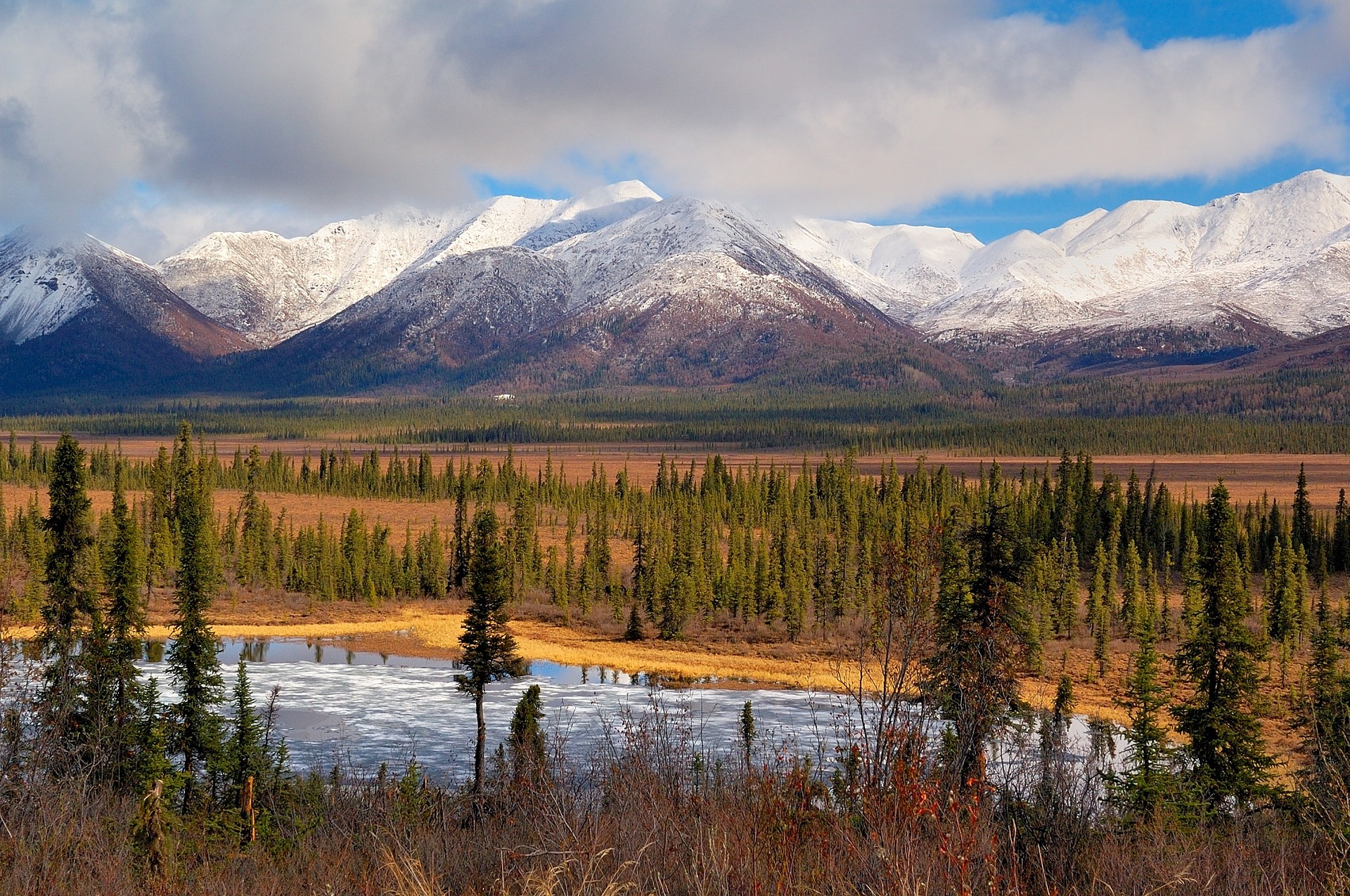 The landscape and wildlife you'll discover in Alaska is breathtaking. Source: Pixabay